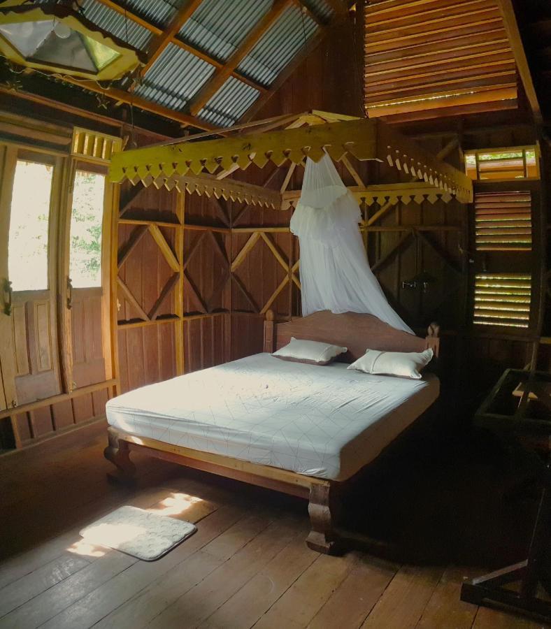 Happy Ria Homestay & Guesthouse ブキットラワン エクステリア 写真