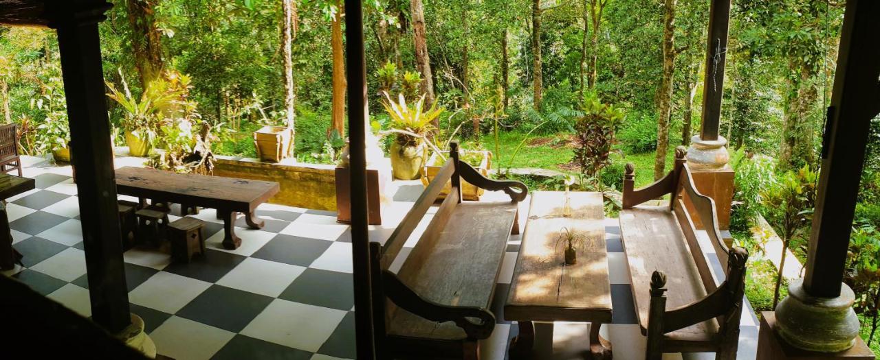Happy Ria Homestay & Guesthouse ブキットラワン エクステリア 写真