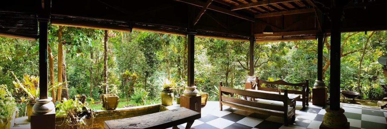 Happy Ria Homestay & Guesthouse ブキットラワン エクステリア 写真