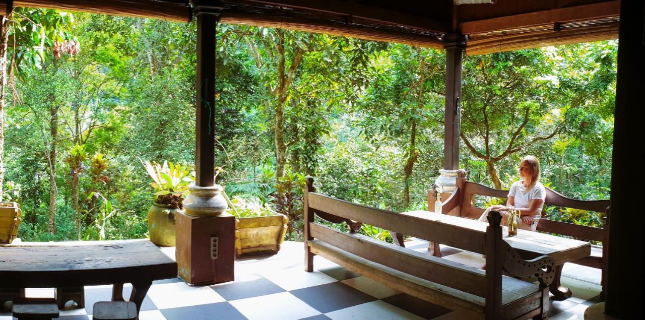 Happy Ria Homestay & Guesthouse ブキットラワン エクステリア 写真