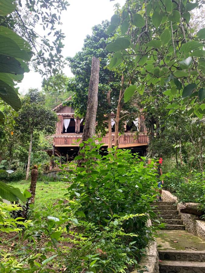 Happy Ria Homestay & Guesthouse ブキットラワン エクステリア 写真